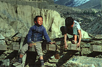 Click for large size