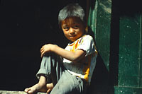 Click for large size